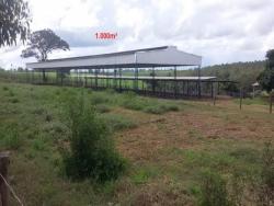 #281 - Terreno para Venda em Ipeúna - SP